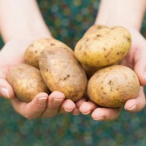 TRIKOVI ZA SVE DOMAĆICE: 2 načina da sačuvate već oljušteni krompir