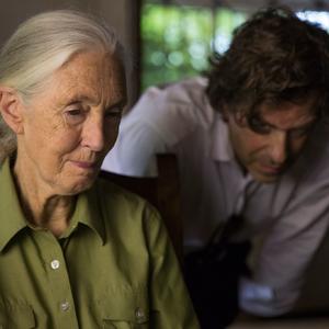 Priča o nesvakidašnjem životu dr Džejn Gudal: Nagrađivani film „Džejn“ premijerno pred beogradskom publikom