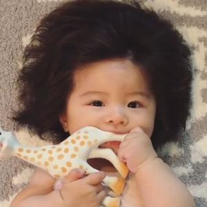 Instagram je POLUDEO za Bejbi Čanko: Japanskoj bebi rođenoj s DUGOM I GUSTOM KOSOM je nemoguće odoleti (FOTO)