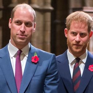 GLASINE O NASILJU U PORODICI ZAPALILE BRITANIJU: Prinčevi Vilijam i Hari objavili prvu zajedničku izjavu nakon skandala
