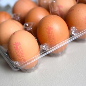 Važno je da ih čuvate na pravi način: Koliko dugo jaja mogu da ostanu u frižideru pre nego što se pokvare?