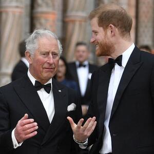 Jedan od njih OČAJNIČKI želi pomirenje: Ponovni susret oca i sina nakon kog je princ Hari brzo napustio Britaniju