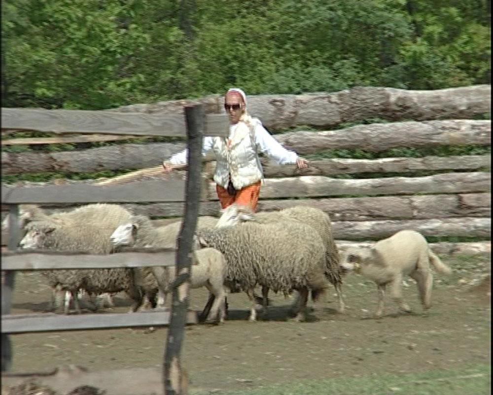 Farmerima nije trebalo mnogo da se odluče ko im je najdraži ukućanin. Zorica je izabrala Maju, a Maja Zoricu, pa su dodale da je to neizbežno pošto se prve ujutru pogledaju i poslednje uveče rastaju. Nemanja i Milena su se odlučili jedno za drugo, kao i Vlada