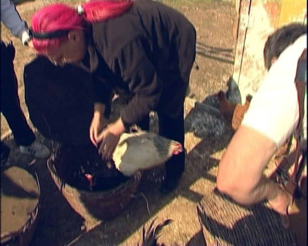 Strast na imanju kao da su se malo stišale, a učesnici najpopularnijeg rijalitija posvećuju više pažnje svakodnevnim obavezama. Ipak, simpatije koje se razvijaju među nekim farmerima sve je teže sakriti.