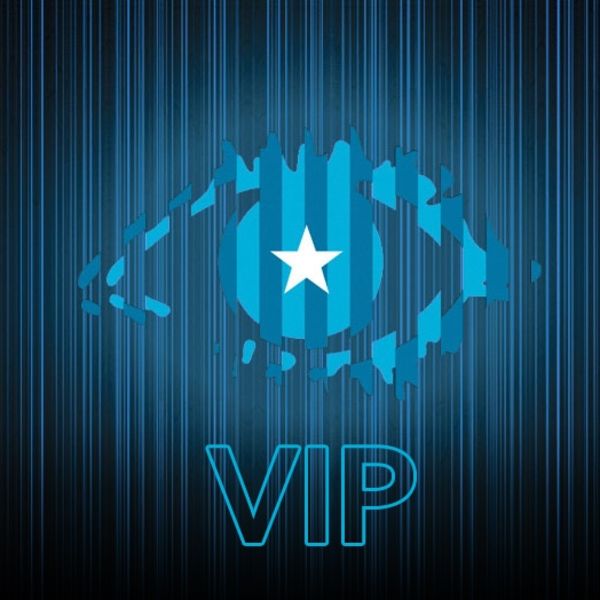 VIP VB: U kući šest superfinalista