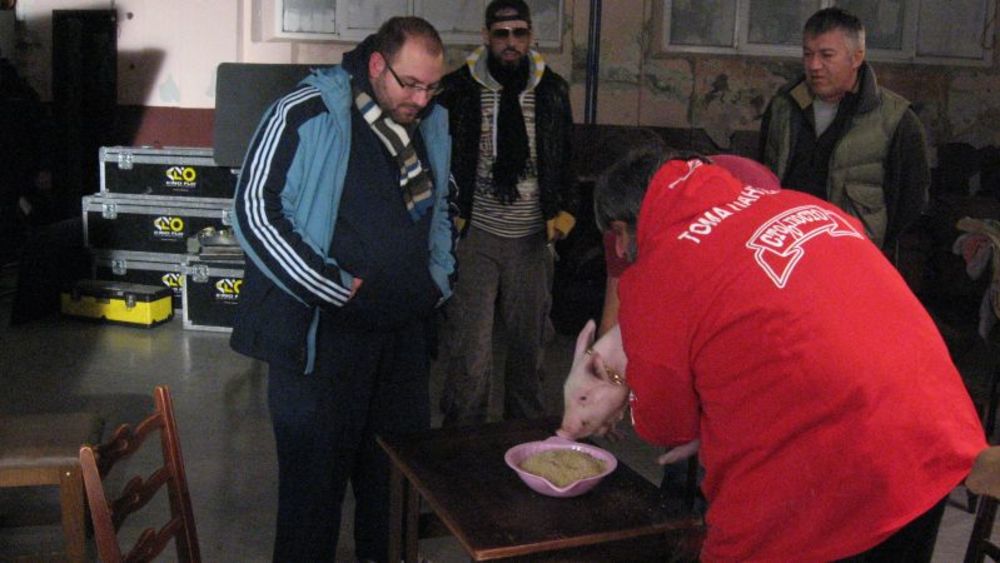 Popularni Farmer Toma Jovanović Panters nedavno je završio snimanje spota za pesmu Đinđi Rinđi sto posto, gde je jednu od glavnih uloga imalo prase Kralj, koje je takođe bilo na Farmi.