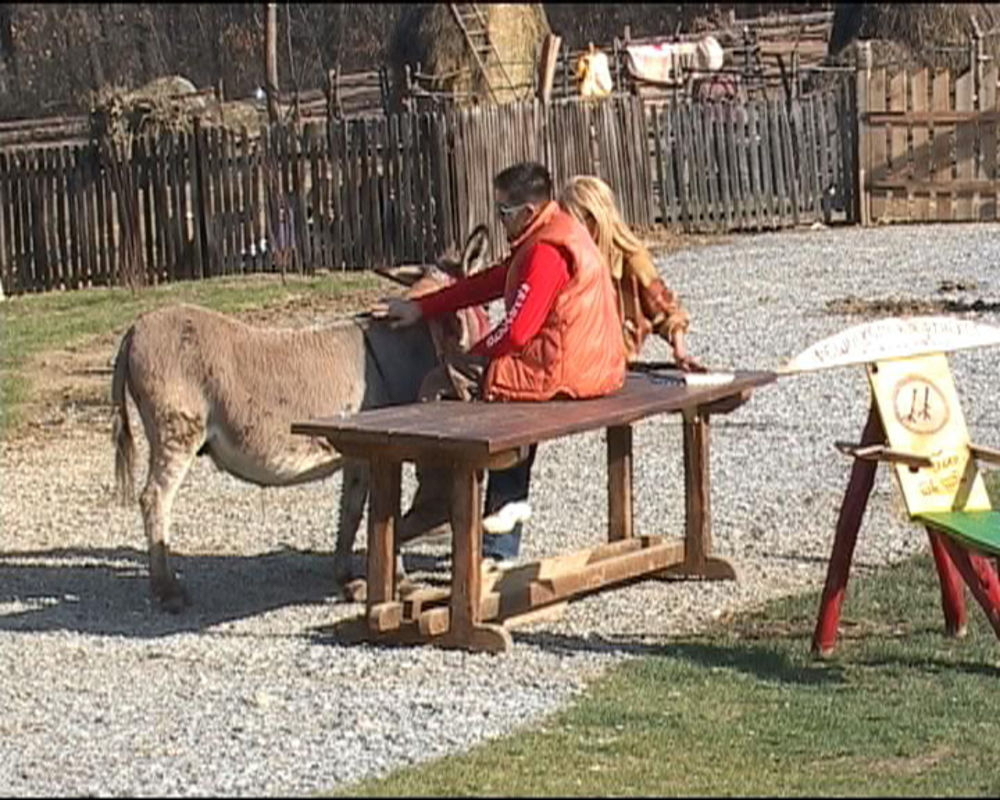 Ako postoji nešto što je dobro obeležilo ovaj dan, onda su to definitivno ogovaranja. Farmeri su svaki slobodan trenutak koristili da ogovaraju nekog ukućanina koji im nije simpatičan, a nisu štedeli ni one koji su im bliski.