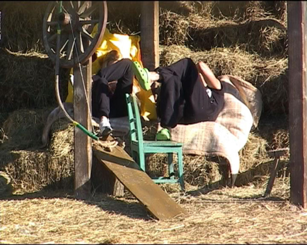 Ako postoji nešto što je dobro obeležilo ovaj dan, onda su to definitivno ogovaranja. Farmeri su svaki slobodan trenutak koristili da ogovaraju nekog ukućanina koji im nije simpatičan, a nisu štedeli ni one koji su im bliski.