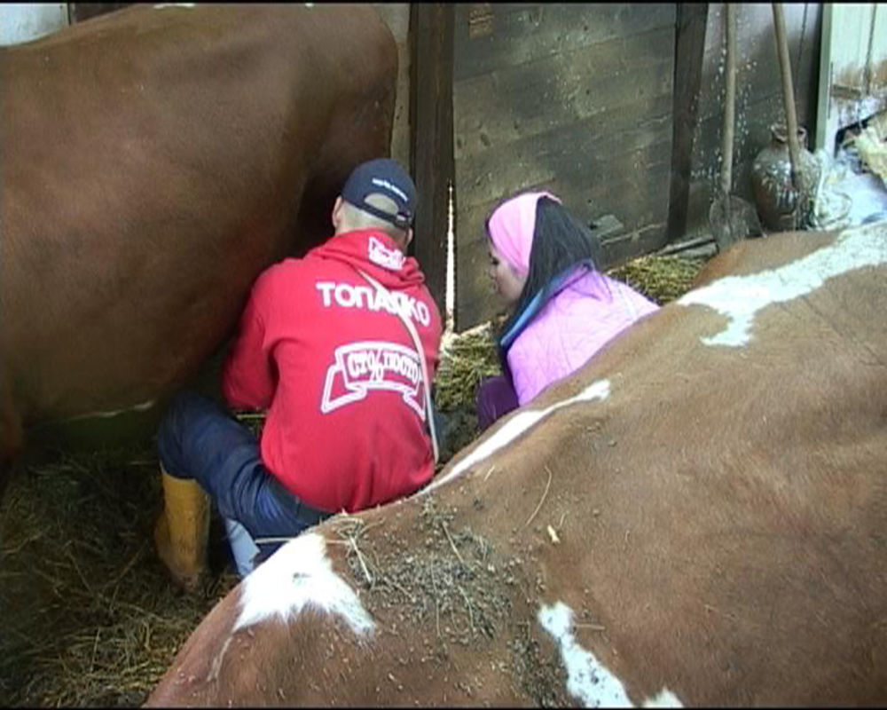 Stari farmeri obučavaju novu učesnicu programa Marijanu, ali i koriste priliku da zezaju Marka i Sandru.