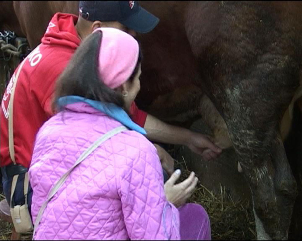 Stari farmeri obučavaju novu učesnicu programa Marijanu, ali i koriste priliku da zezaju Marka i Sandru.