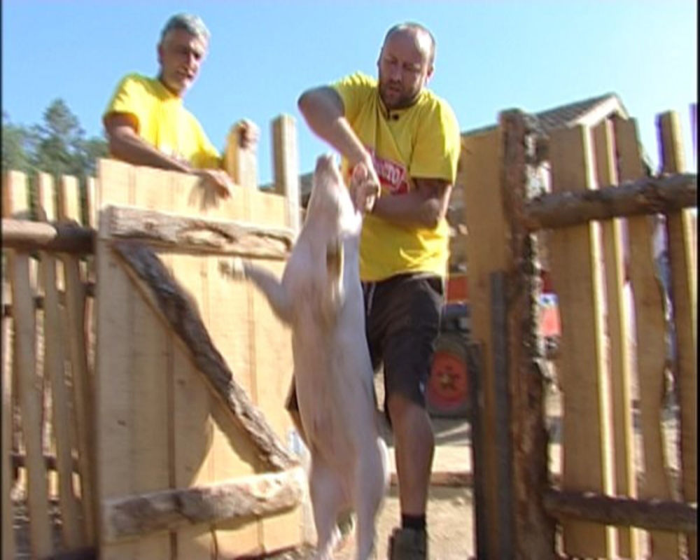 Titulu učesnice koja se najviše svađa Maji Nikolić preuzela je Marina Perazić i uletela je u žestoku svađu sa folkerkom Big mamom