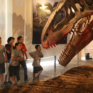 Izložba Dinosaurusi Argentine - Džinovi Patagonije od juna u Beogradu