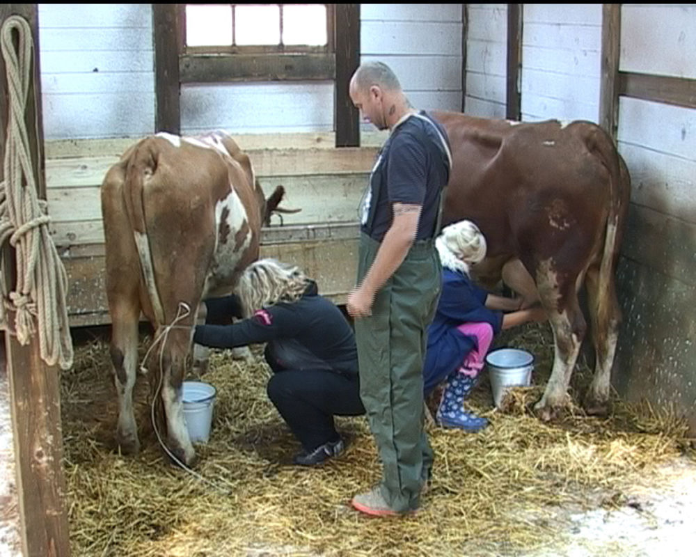 Farmeri na televiziji Pink  naučili su brojne poslove, a žene su dobile zaduženja da muzu kravu i prave sir. Cakani najbolje ide ovaj zadatak, pa se čak i naljutila na ostale farmere zato što joj ne pomažu.