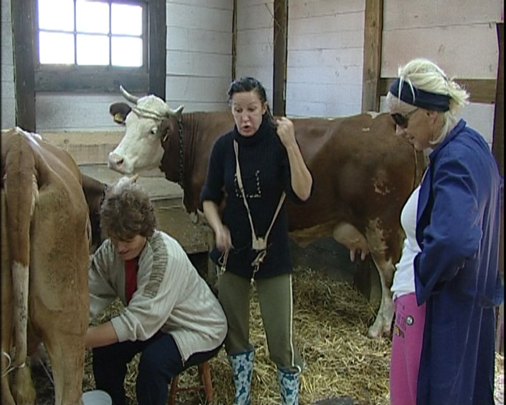 Farmeri na televiziji Pink  naučili su brojne poslove, a žene su dobile zaduženja da muzu kravu i prave sir. Cakani najbolje ide ovaj zadatak, pa se čak i naljutila na ostale farmere zato što joj ne pomažu.