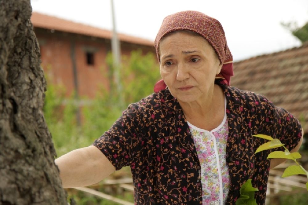 U subotu 5. marta od 20 časova na RTS 1 pogledajte novu epizodu popularne serije Selo gori a baba se češlja koja nosi naziv Žetva