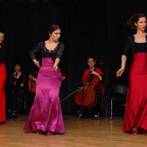 Humanitarni flamenko koncert večeras u Bitefu