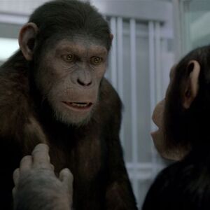 Planeta majmuna: Početak najgledaniji za vikend