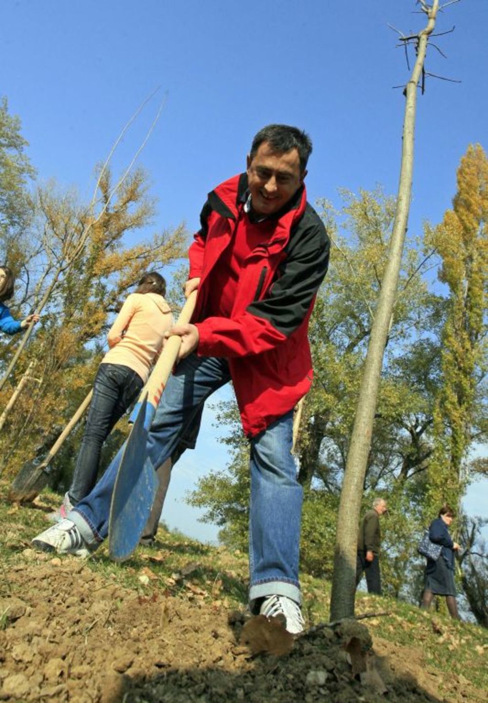 Zajedničkom akcija medija i Sekretarijata za zaštitu životne sredine grada Beograda juče je pošumljeno gotovo 3 hektara zemljišta kod palate Srbija (stari SIV) na Novom Beogradu. Posađeno je ukupno 550 novih stabala hrasta, cera, jasena, lipe, bresta i drugog