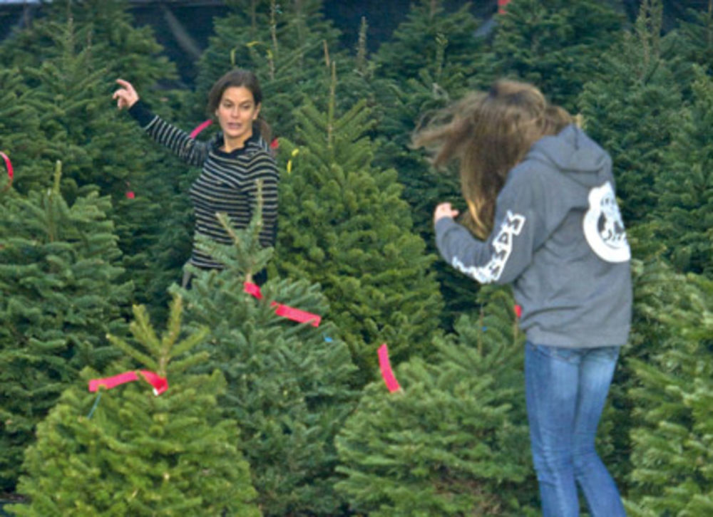 Pošto je uspešno privela kraju sve obaveze oko snimanja serije Očajne domaćice, glumica Teri Hačer (46) zapala je u pretprazničnu groznicu i sa ćerkom Emerson Ros (14) krenula u kupovinu božićne jelke.