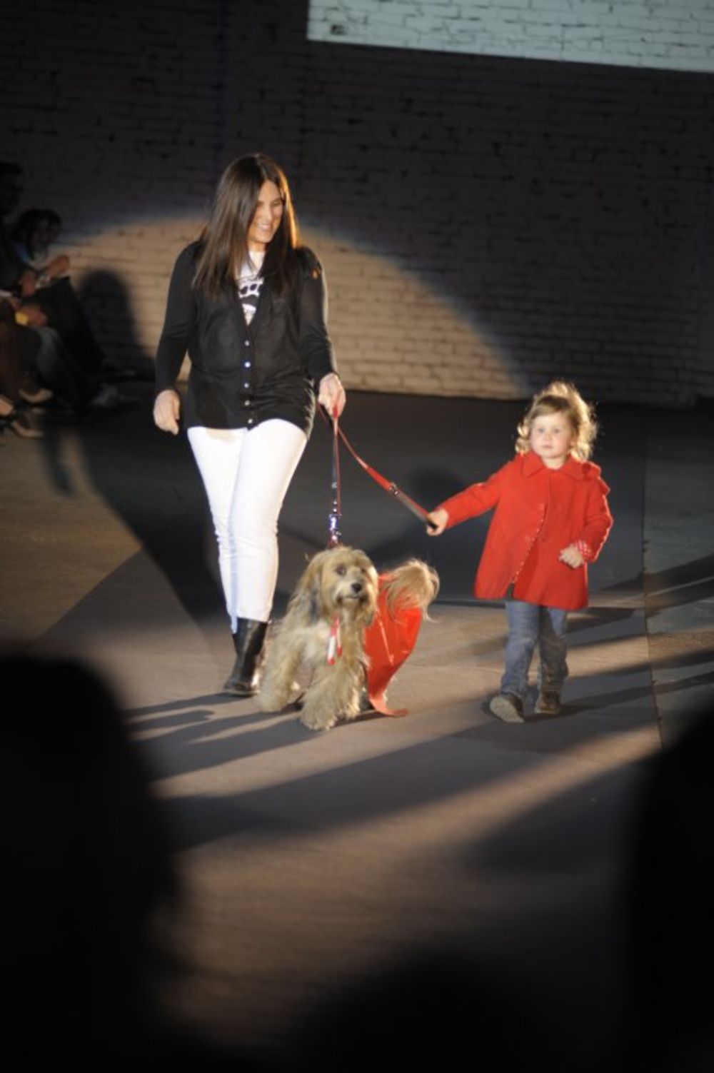 U okviru šeste večeri 31.Amstel Fashion Weeka, koji se održava od 31.marta do 7.aprila pod pokroviteljstvom Skupštine grada Beograda, održana su dve revije u Mikser hali, u Karađorđevoj ulici – revija modnih aksesoara za pse Najbolji prijatelj, dok je Nivea So
