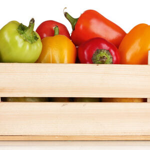 Story Gastro: Paprika - simbol ukusne zimnice