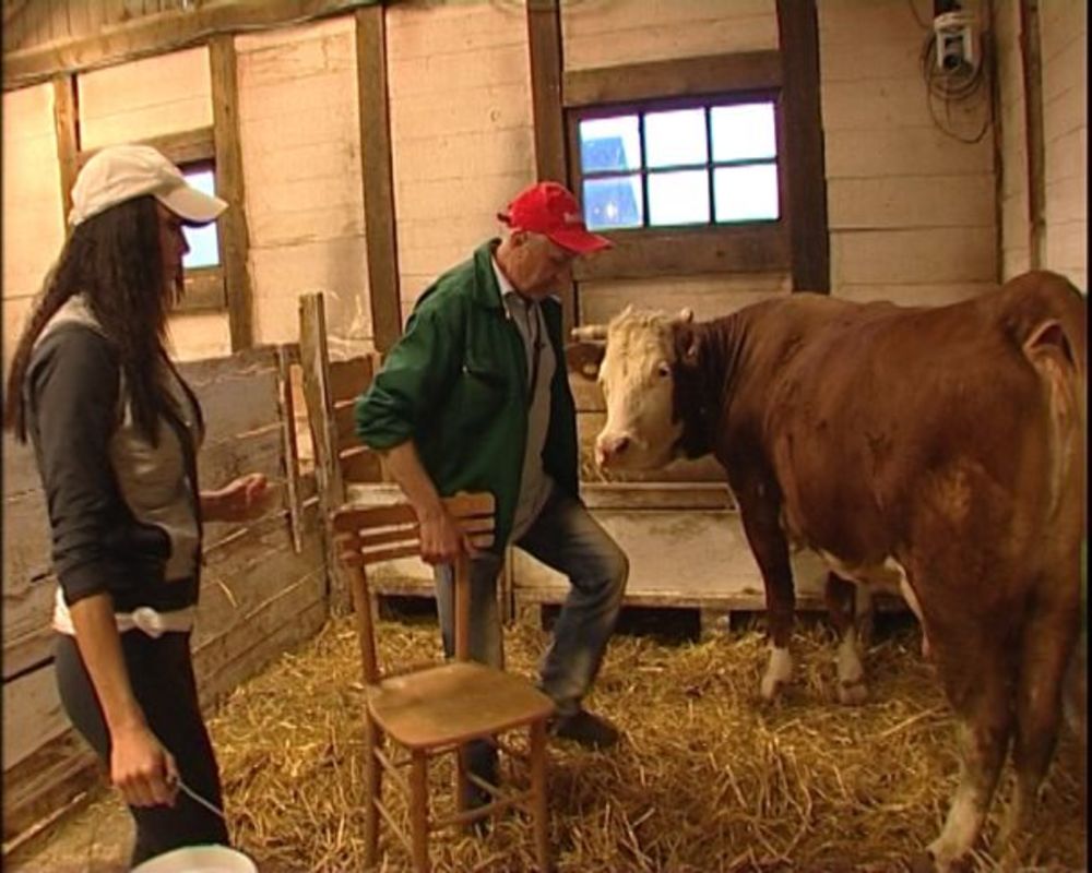 Pismom Zadruge, Stanija je kažnjena odlaskom u štalu zbog toga što nije nosila bubicu. Ovonedeljne sluge i Stanija će morati da se snađu sa dva kreveta koja imaju. Stanija je ipak legla u krevet sa Vesnom Rivas. Sha je priznao da je Jovanu doživeo kao grešku,