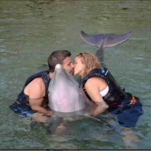 Šakira i Pike: Druženje sa delfinima