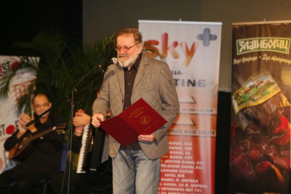 Žiri 3. Festivala domaćih igranih serija proglasio je najboljom seriju Na putu za Montevideo. Zlatna antena dodeljena i scenaristima serije emitovane na RTS-u. Među nagrađenima Miroslav Lekić, Aleksandar Berček, Jeleni Bajić-Jočić, Srđan Dragojević. Među domać