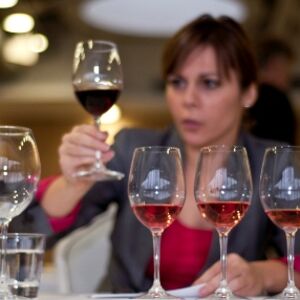 Izbor najboljih vina Srbije