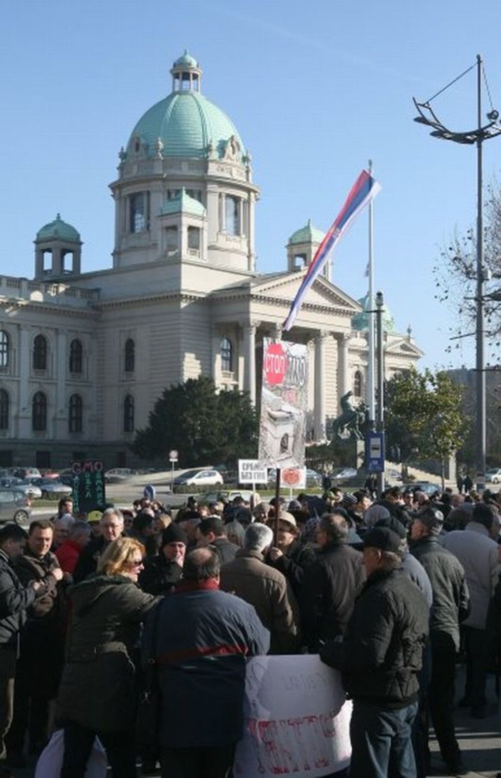 Branislav Lečić, Biljana Cincarević, Jugoslav i Elena Karaman Karić, Vesna Jugović i druge ličnosti iz javnog života našle su svoje mesto u sredu, četrvrtog decembra ispred Gradske skupštine Beograda, gde su svojim prisustvom glasale za Srbiju u kojoj nema gen