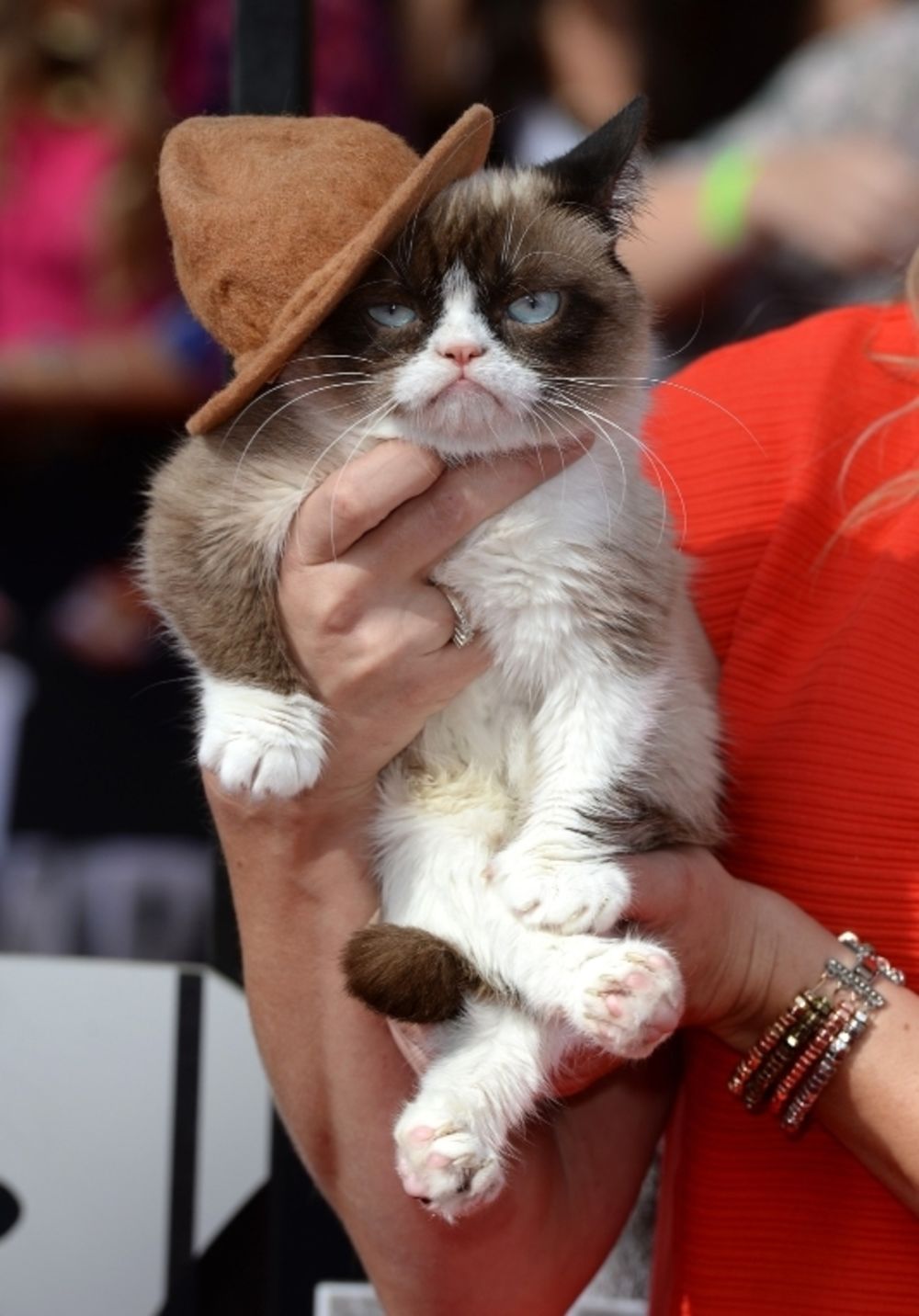 Pored svih selebritija, na crvenom tepihu MTV Movie Awardsa, pažnju je plenila i jedna mačka poznatija kao Grumpy Cat.