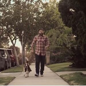 Ovo je dokaz da su čovek i pas najbolji prijatelji (VIDEO)