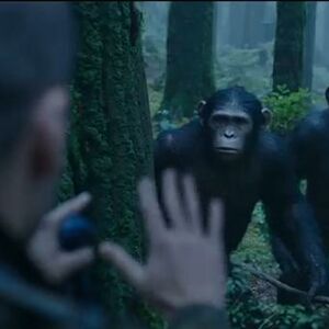 Pogledajte novi ekskluzivni trejler za film Planeta majmuna – Revolucija