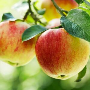 6 odličnih razloga da ne ljuštite jabuku