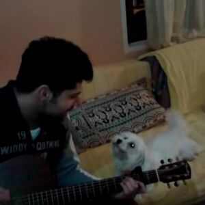 Ovo još nismo videli: Zvezda Granda naučila psa da peva Cecinu pesmu! (VIDEO)