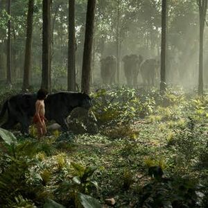 Knjiga o džungli: Nova Diznijeva 3D avantura uskoro u bioskopima