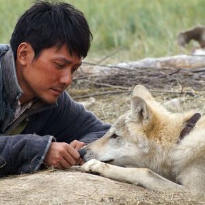 Poslednji vuk stiže u bisokope: Novi spektakularni film dobitnika Oskara Žaka Žana Anoa