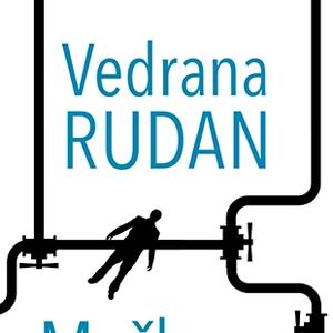 Čega se sve odričemo zbog muškaraca: Novi roman Vesne Rudan mora pročitati svaka dama