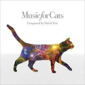 Ljubitelji mačaka su dugo čekali ovaj trenutak: Prvi album za vaše ljubimce!