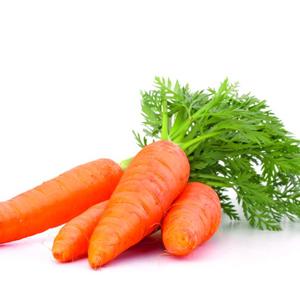 Šargarepa - korisna i zdrava