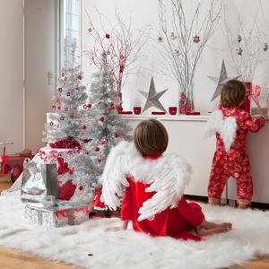Novogodišnja dekoracija koja će privući sreću i pozitivnu energiju u vaš dom: Evo koje je idealno mesto za postavljanje jelke!