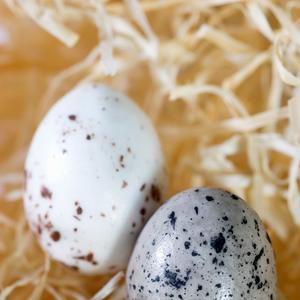 Samo za ekstremno radoznale: Šta ako otvorite godinama staro uskršnje jaje? (VIDEO)