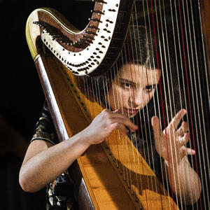 Još samo sedam dana do koncerta: Ljubitelji dobre muzike skupljaju novac za Zojinu novu harfu