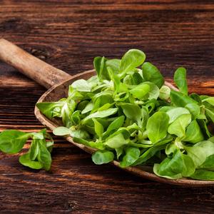 Ukusnija nego zelena, moćnija od ijedne druge: Najzdravija salata na svetu gotovo da nema kalorije!