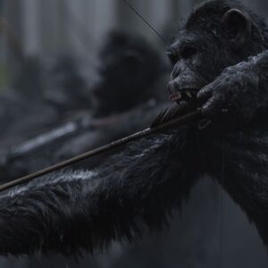 Poslenji trejler za film Planeta majmuna - Rat
