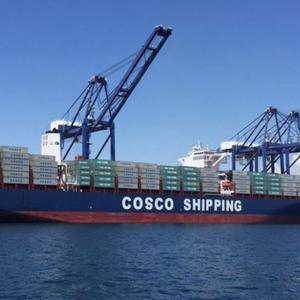 TERMINAL U DOBANOVCIMA Globalni logistički gigant COSCO i Nelt počeli saradnju