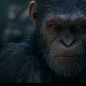 Premijerno 13. jula: "Planeta majmuna: Rat” stiže u domaće bioskope