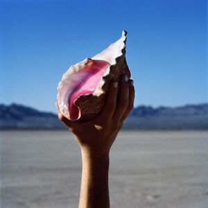 The Killers predstavljaju novi album “Wonderful Wonderful“