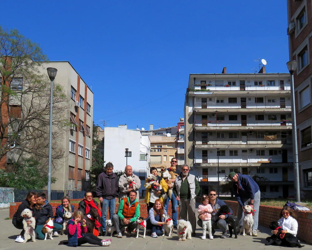 <p>Poznata <strong>Aleksandra Kovač </strong>je ove godine dobitnik priznanja svetske organizacije World Animal Day UK, koje joj je dodeljeno kao istaknutoj javnoj ličnosti koja se zalaže za promociju zaštite i dobrobiti životinja.</p>