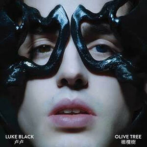 Prvi put na srpskom jeziku: Luke Black se vratio na scenu fantastičnom obradom kineskog klasika “Olive Tree”!